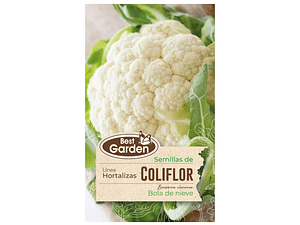Coliflor Hortaliza Invierno Best Garden (3 gr)