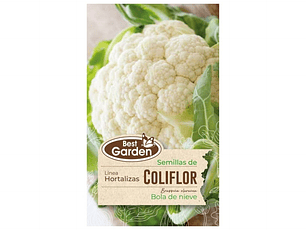 Coliflor Hortaliza Invierno Best Garden (3 gr)