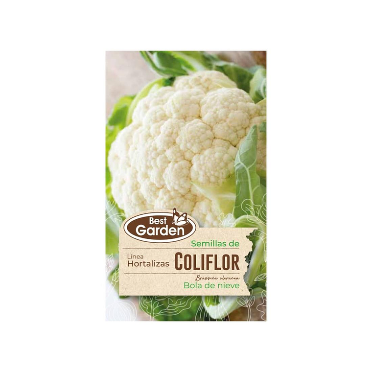 Coliflor Hortaliza Invierno Best Garden (3 gr) 1