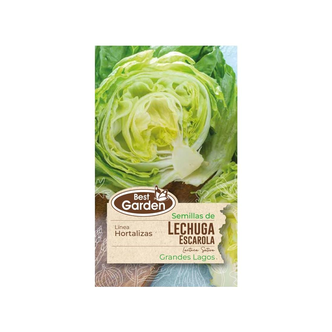 Lechuga Escarola Cosecha Rápida Best Garden (4 gr) 1