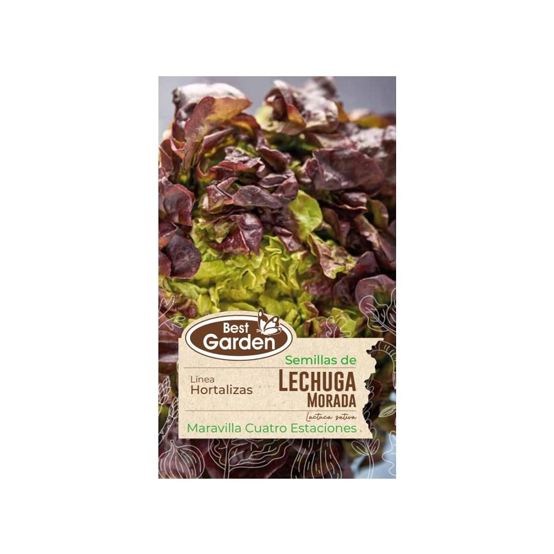 Lechuga Morada Alto Atractivo Best Garden (5 gr) 1