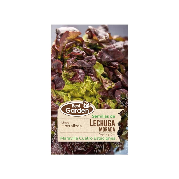 Lechuga Morada Alto Atractivo Best Garden (5 gr) 1