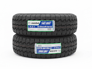 Pack 2 Neumáticos Haida 215/75 R14C 8PR HD818