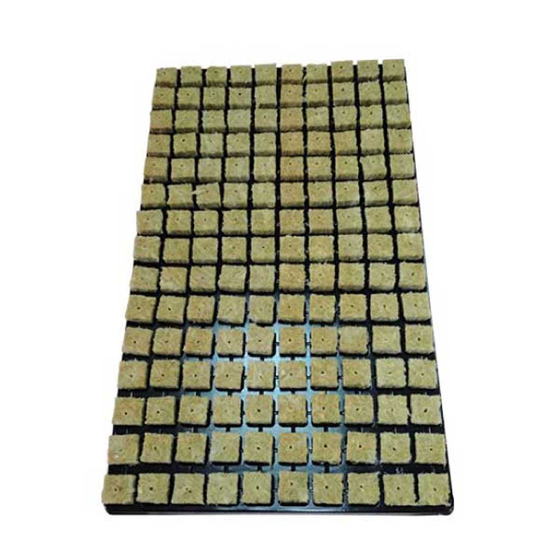 Pack 6 Bandejas 150 Alveolos con Lana de Roca 1