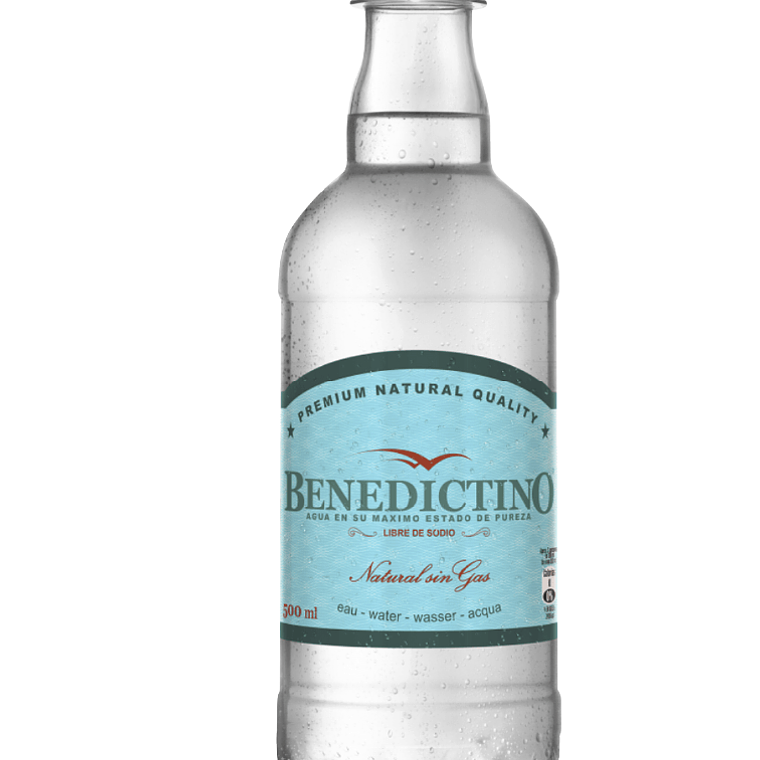 Agua Benedictino Botella Desechable Andina 500 ml (Con - Sin Gas) 2