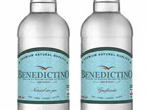 Agua Benedictino Botella Desechable Andina 500 ml (Con - Sin Gas)