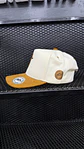 GORRAS DE GAMUZA UNISEX-LEON - Miniatura 3