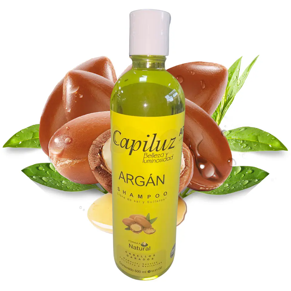 Shampoo Para Cabellos Dañados de Argan 500ml  3