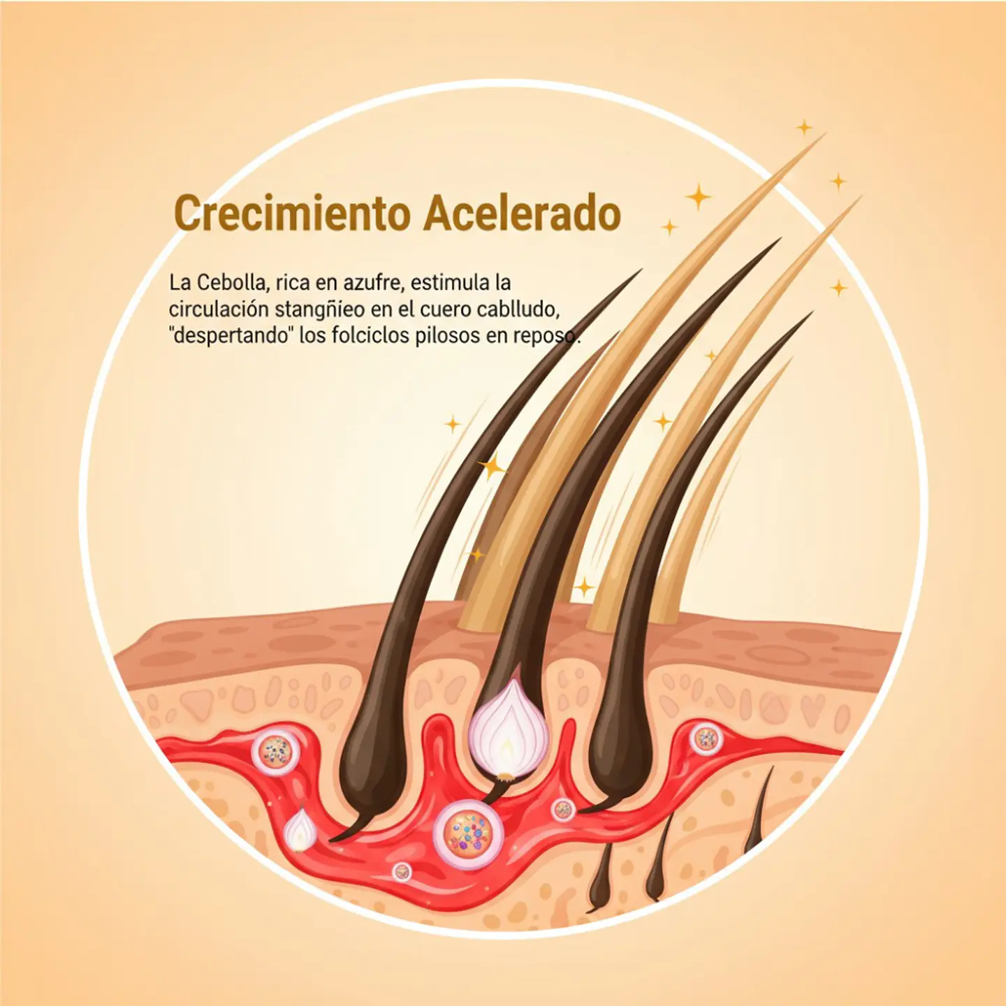 Crema Tratamiento Capilar Cebolla y Canela Capiluz Hidratación y Crecimiento 5