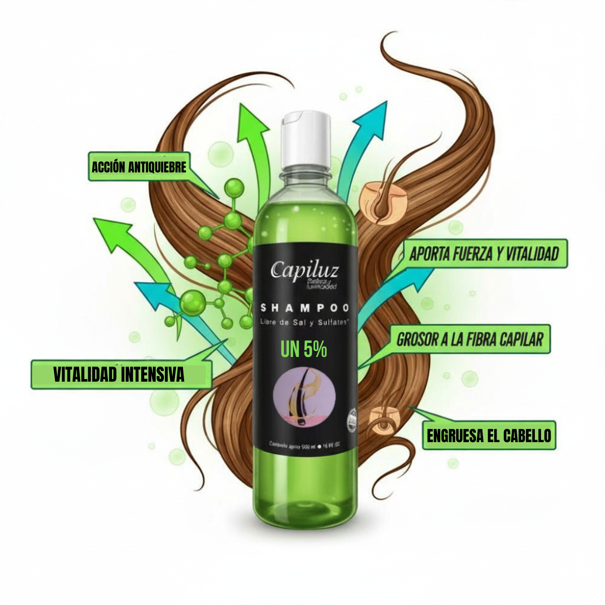 Shampoo Capilar 5% Densidad Y Engrosamiento Capiluz 500ml 2