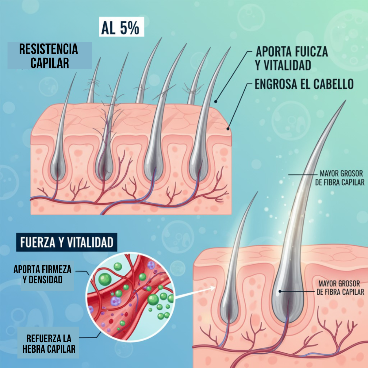 Tratamiento Capilar 5% & Salvia Sistema de Densidad y Control (500g) 9