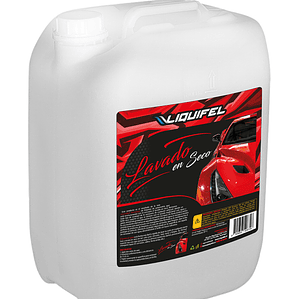 LAVADO EN SECO PARA AUTOS 22 LITROS