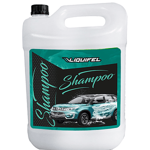 SHAMPOO PARA AUTOS ALCALINO 10 LITROS