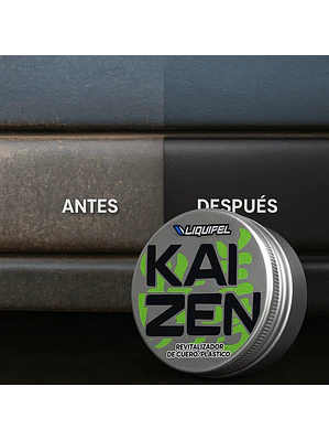 REVITALIZADOR DE CUEROS Y PLASTICOS KAIZEN