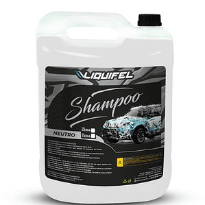 SHAMPOO PARA AUTOS NEUTRO 10 LITROS