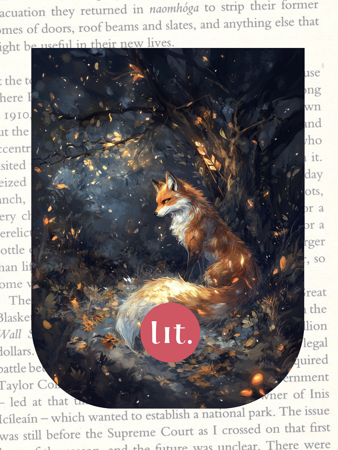 Marcapáginas magnéticos Literarios 9