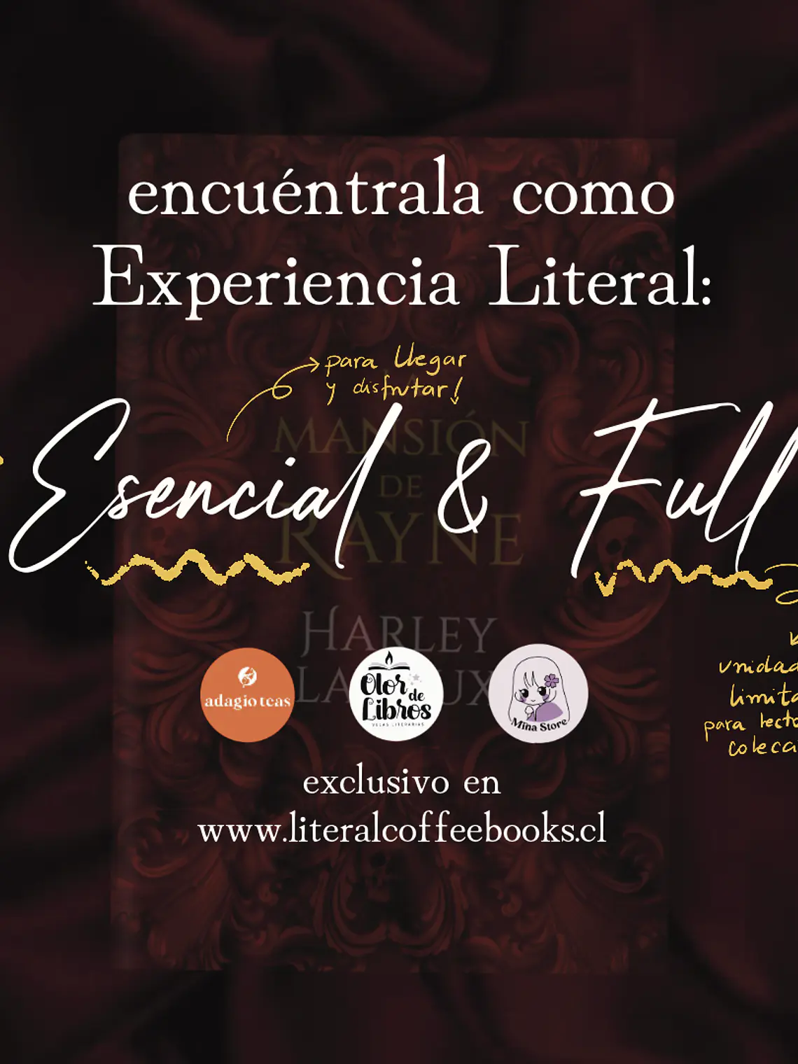 Experiencia Literal: La mansión de Ryan 5
