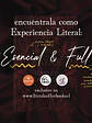 Experiencia Literal: La mansión de Ryan - Miniatura 5