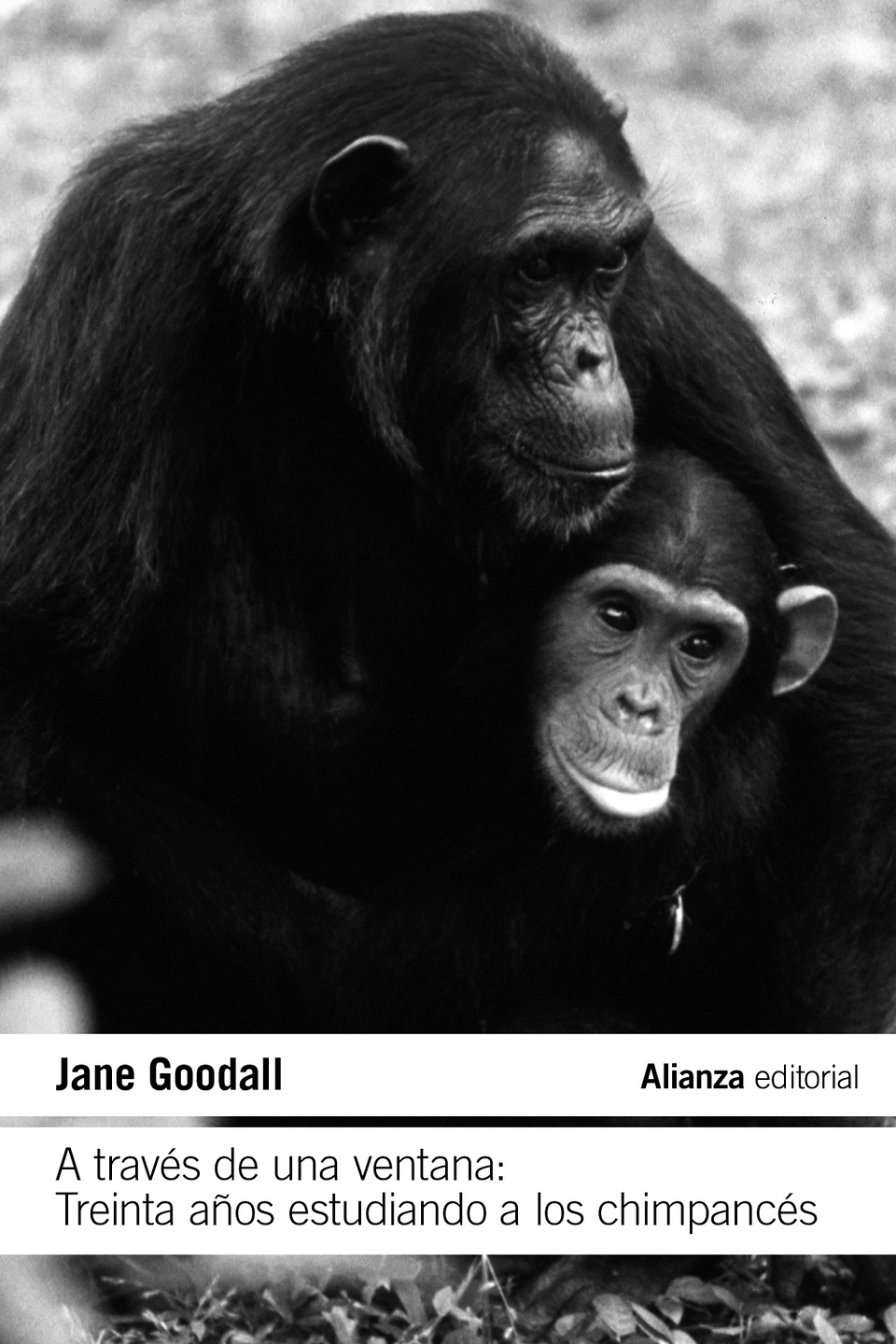 Jane Goodall - A través de una ventana: Treinta años estudiando a los chimpancés 1