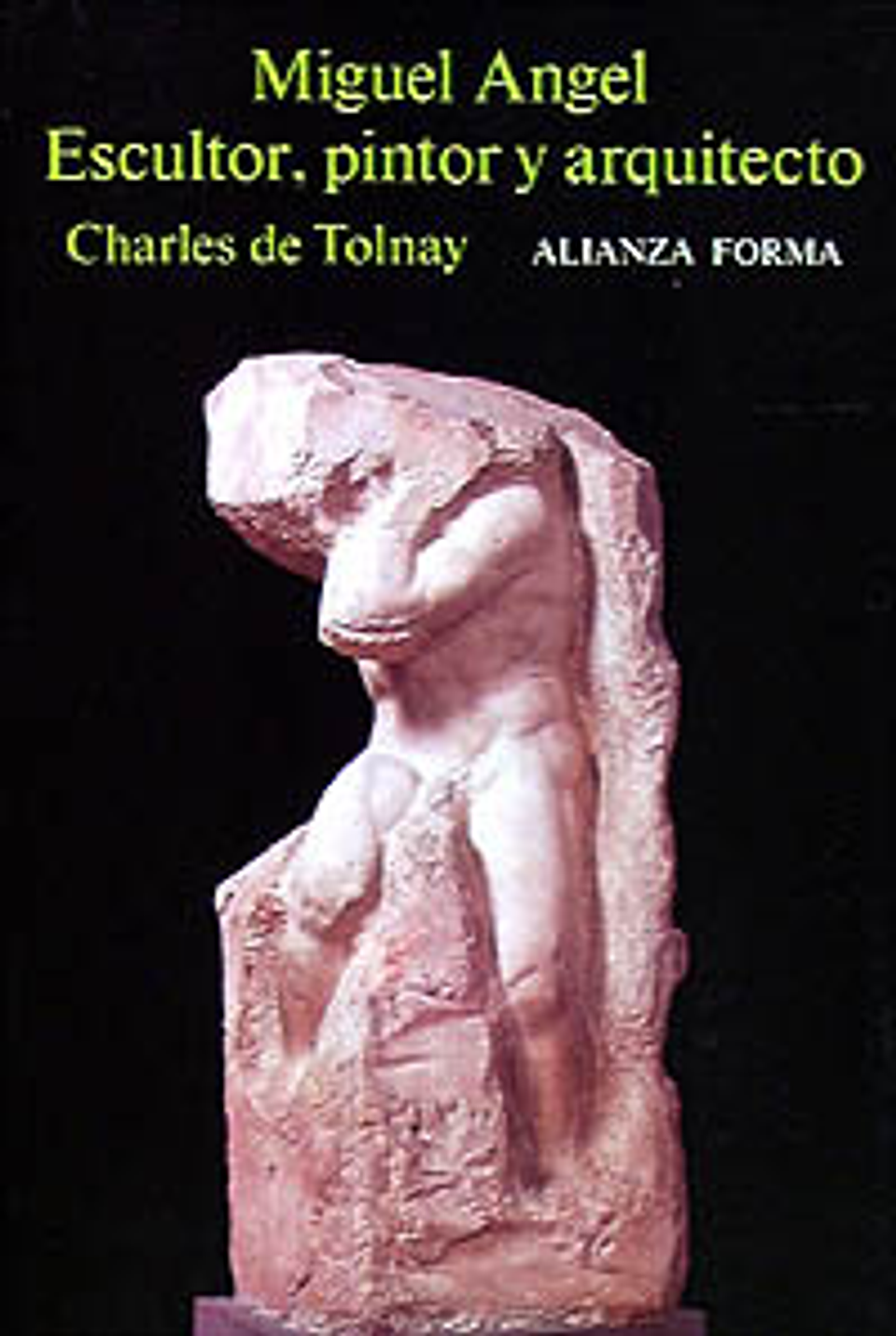 Charles de Tolnay - Miguel Ángel, escultor, pintor y arquitecto 1
