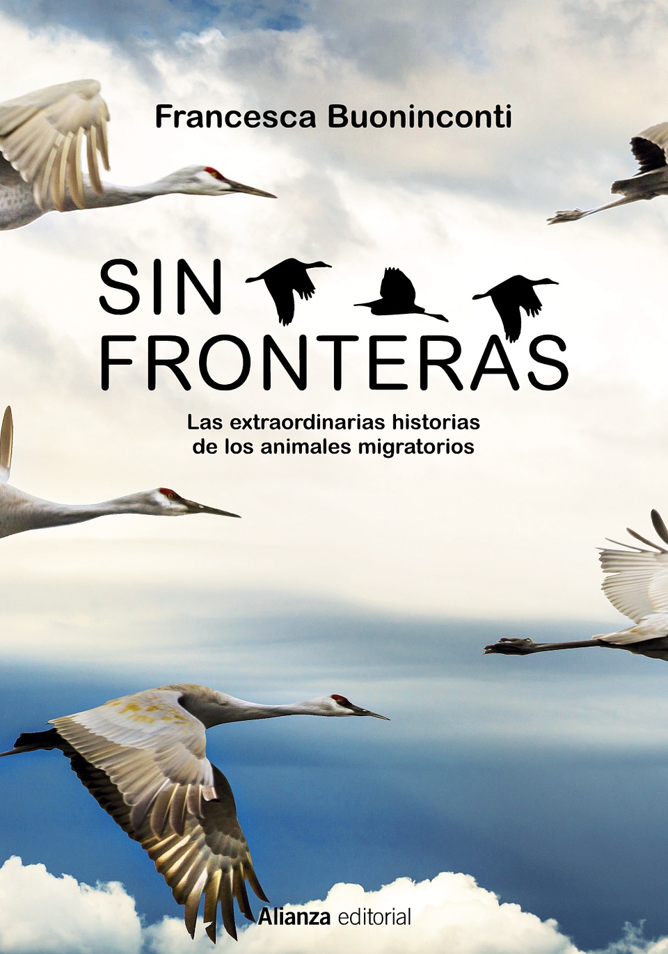 Francesca Buoninconti - Sin fronteras 1