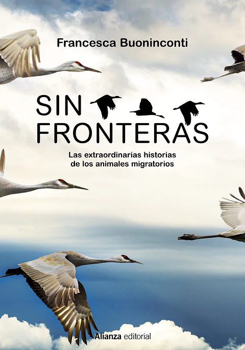 Francesca Buoninconti - Sin fronteras