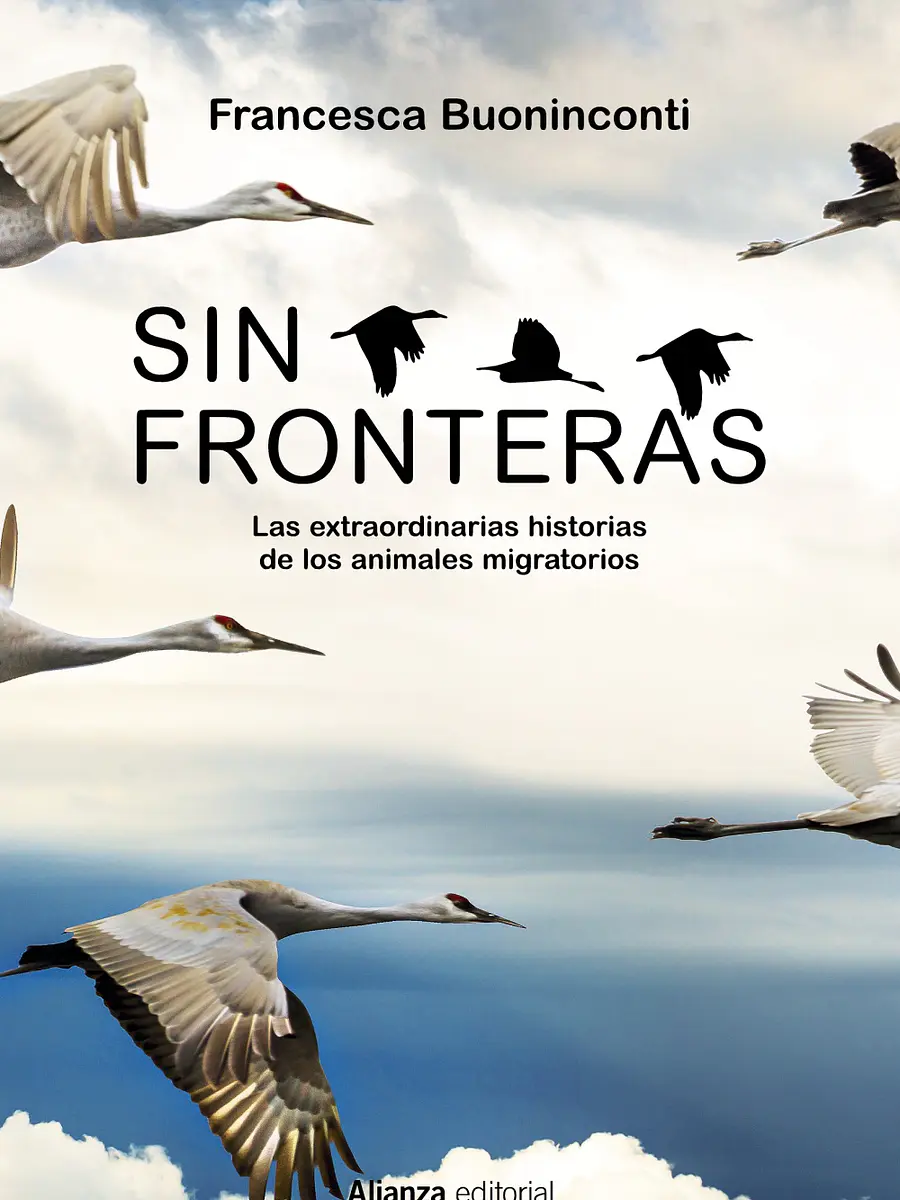 Francesca Buoninconti - Sin fronteras