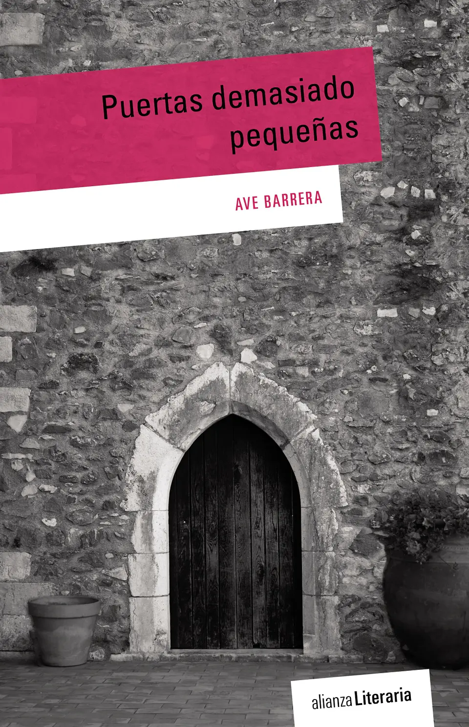 Ave Barrera - Puertas demasiado pequeñas 1