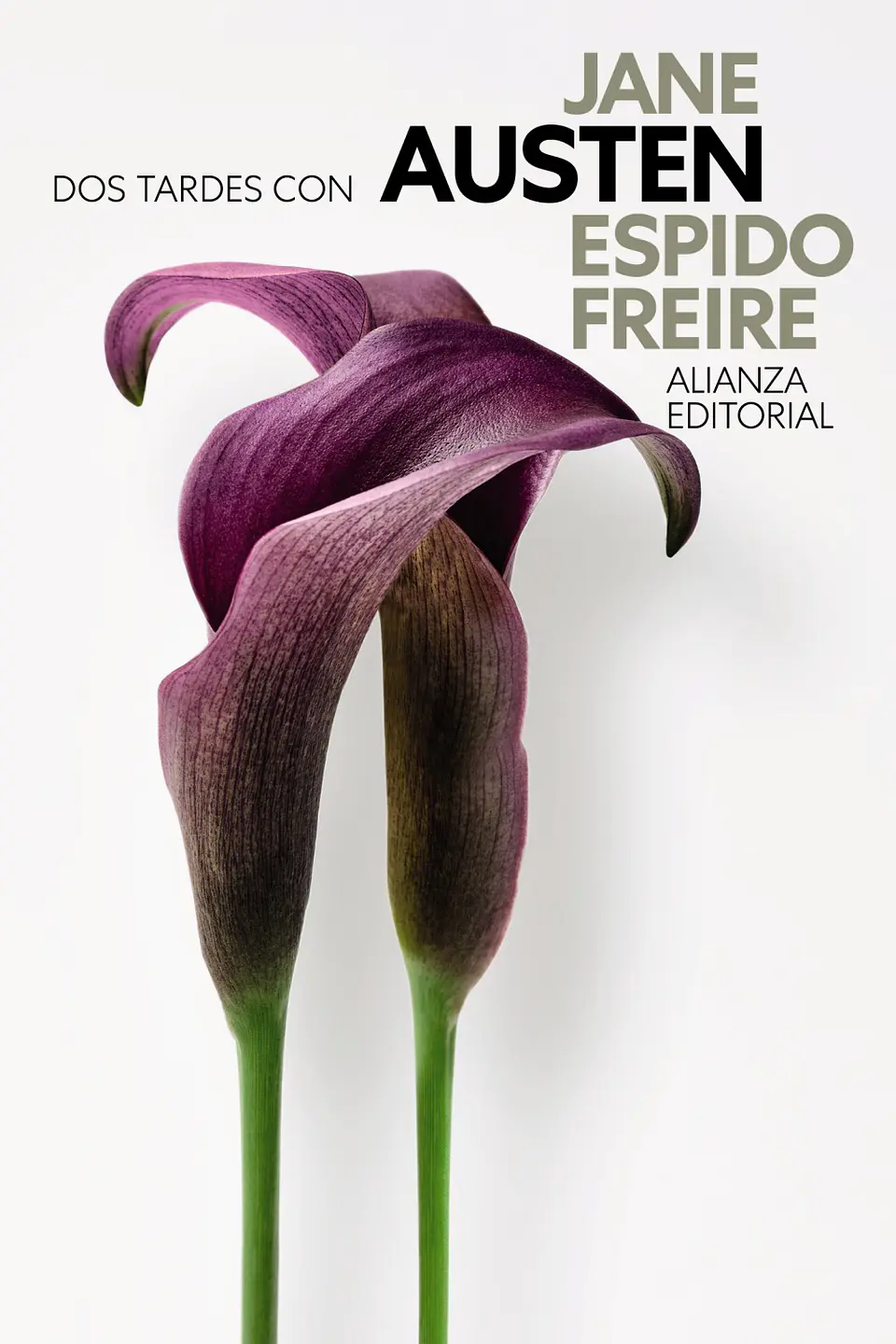 Espido Freire - Dos tardes con Jane Austen 1