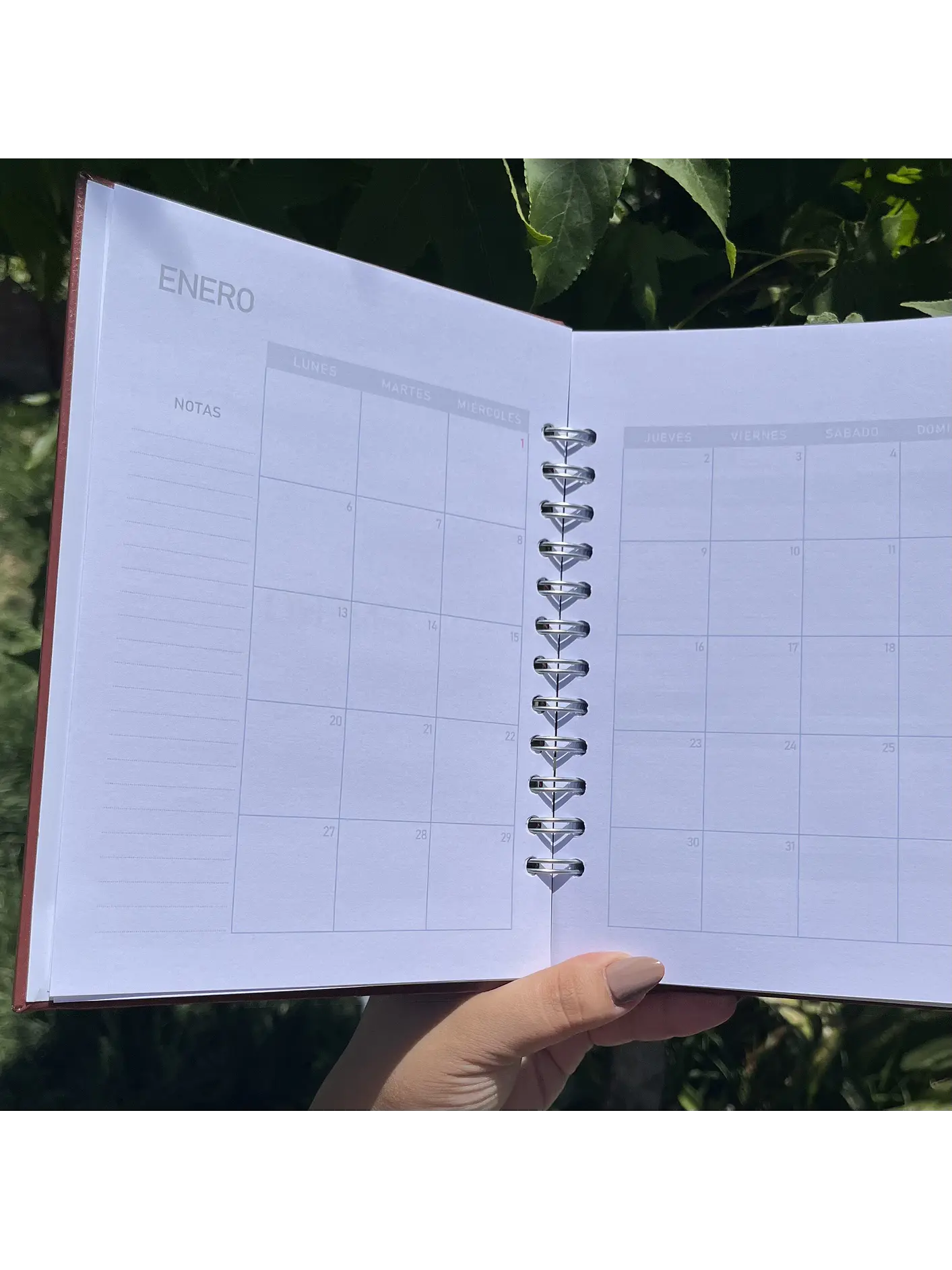 Planner Sin fecha - Hombre 8