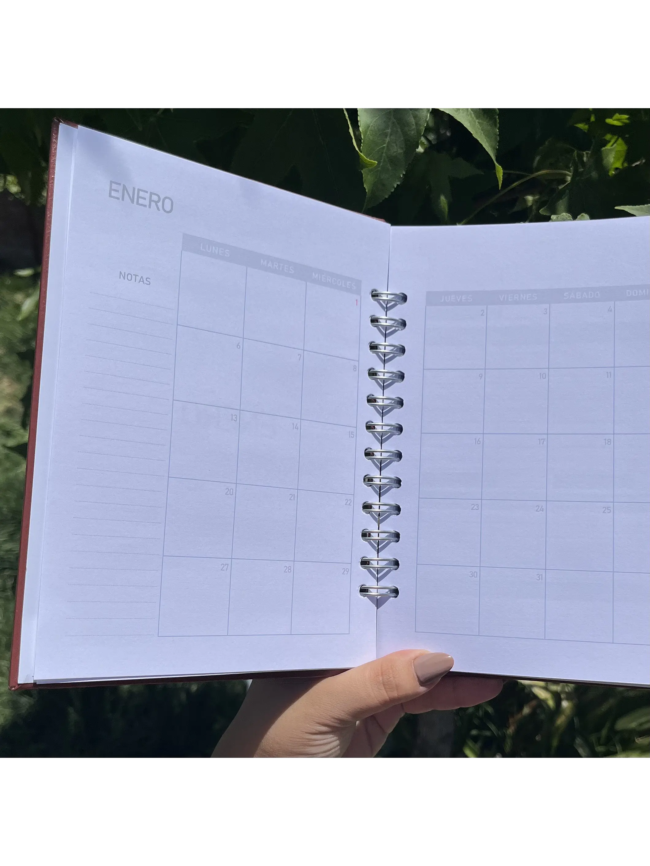 Planner Sin fecha - Hombre 8