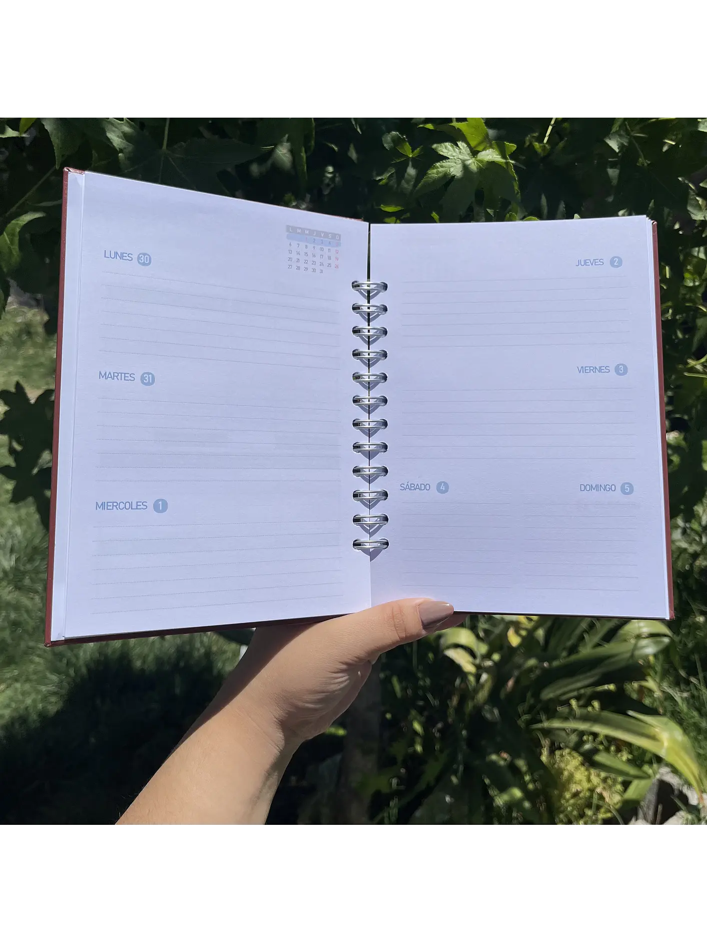 Planner Sin fecha - Hombre 9