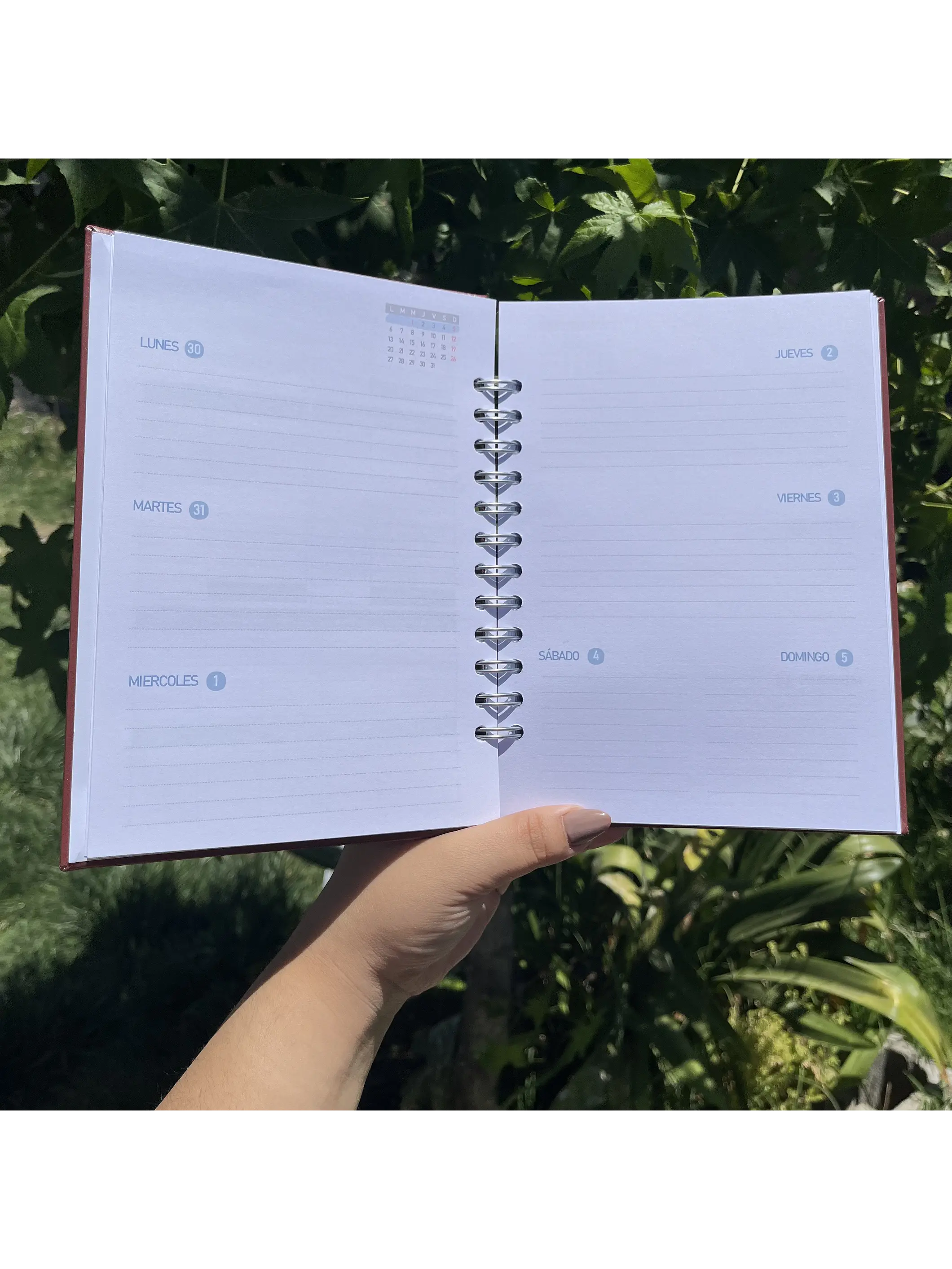 Planner Sin fecha - Hombre 9