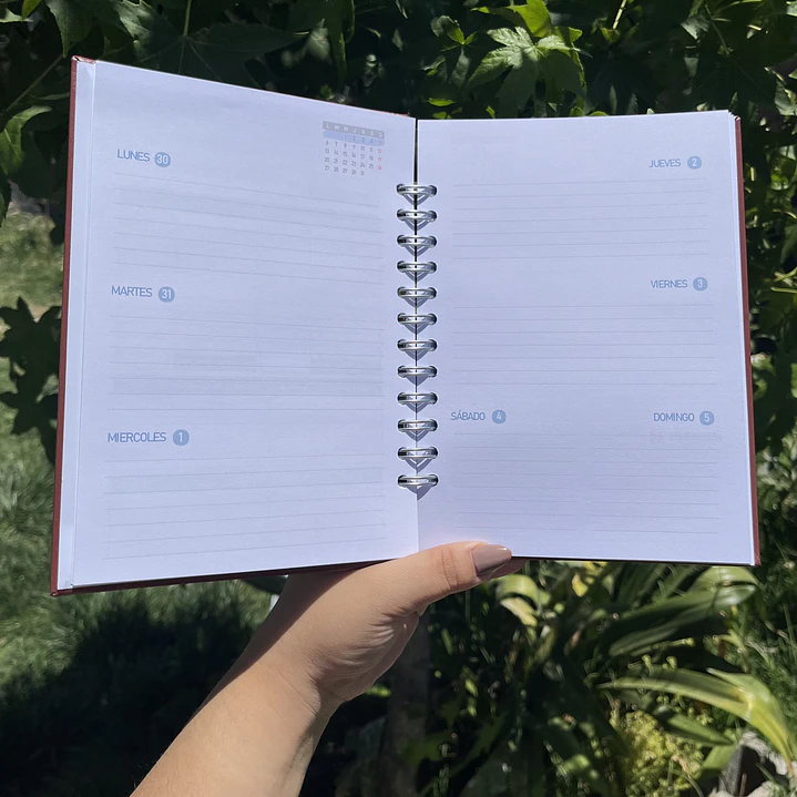 Planner Sin fecha - Hombre 9