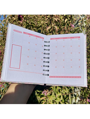 Miniplanner 2 días por página - Sin fecha - 12 meses 