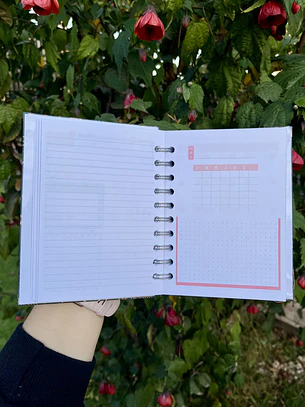 Miniplanner no fechado (12 meses)