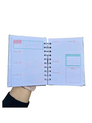 Miniplanner no fechado (12 meses)