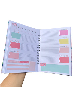 Planner eterno colores (año completo)