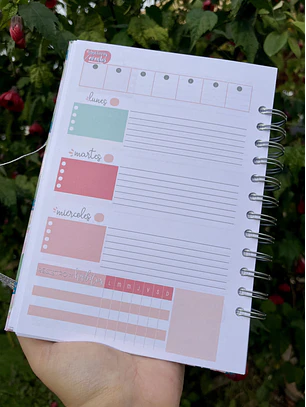 Planner eterno colores (año completo)