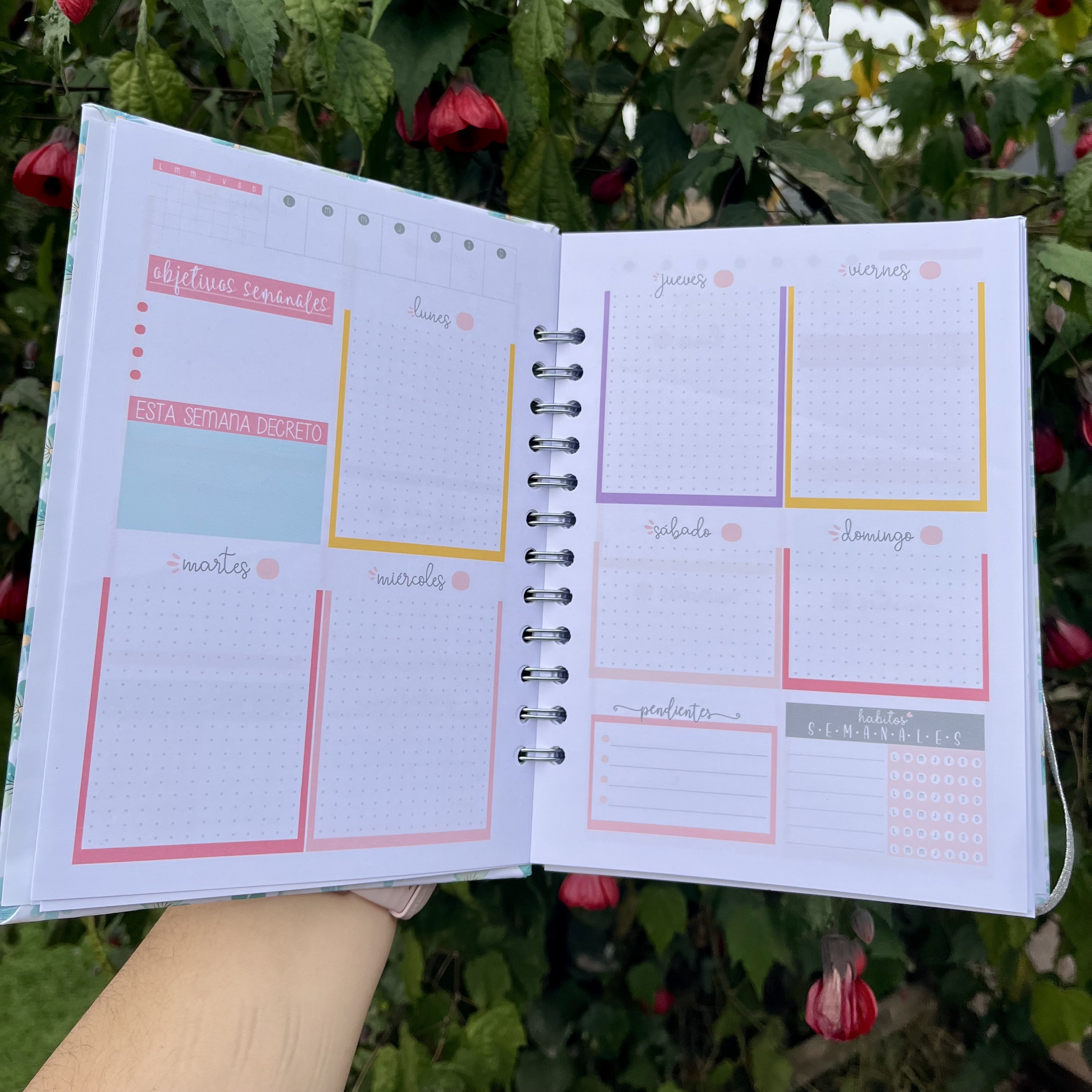 Planner sin fecha Estelar rosado