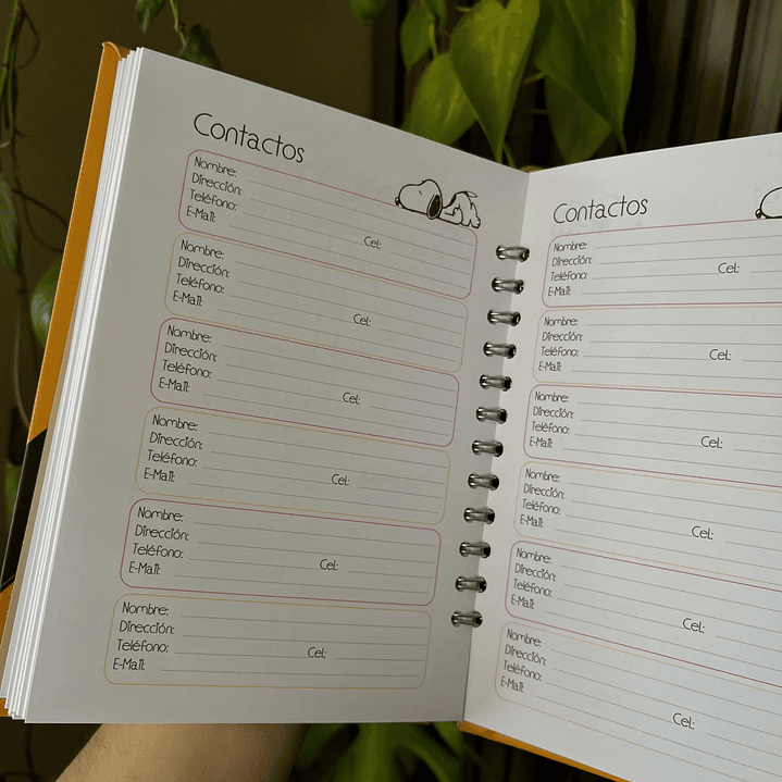 Agenda 2026 inspirada en Snoopy 5