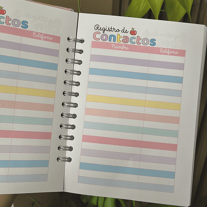 Planner docente 2026 ( Pre-escolar ) Flores 11
