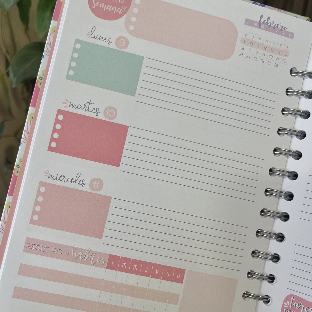 Planner 2026 Lineas Colores  11