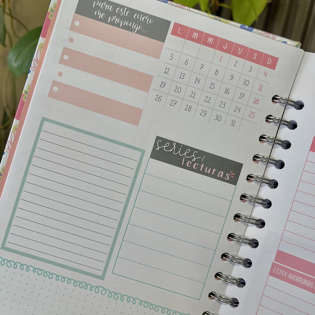 Planner 2026 Lineas Colores  7