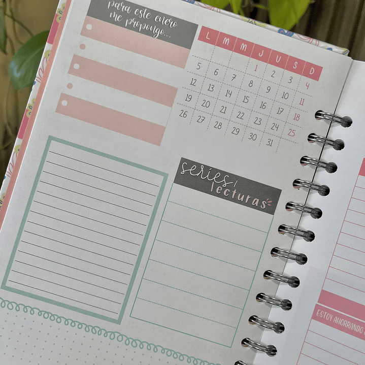 Planner 2026 Lineas Colores  7