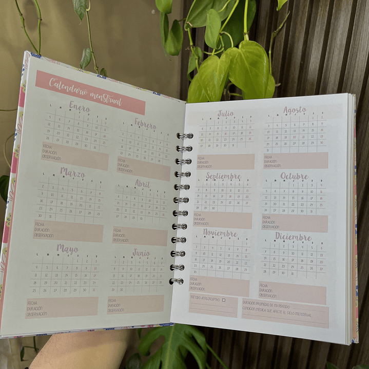 Planner 2026 Lineas Colores  5