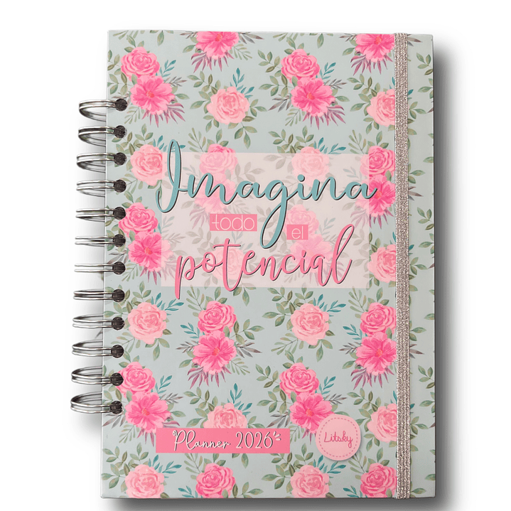 Planner 2026 Lineas Colores  20