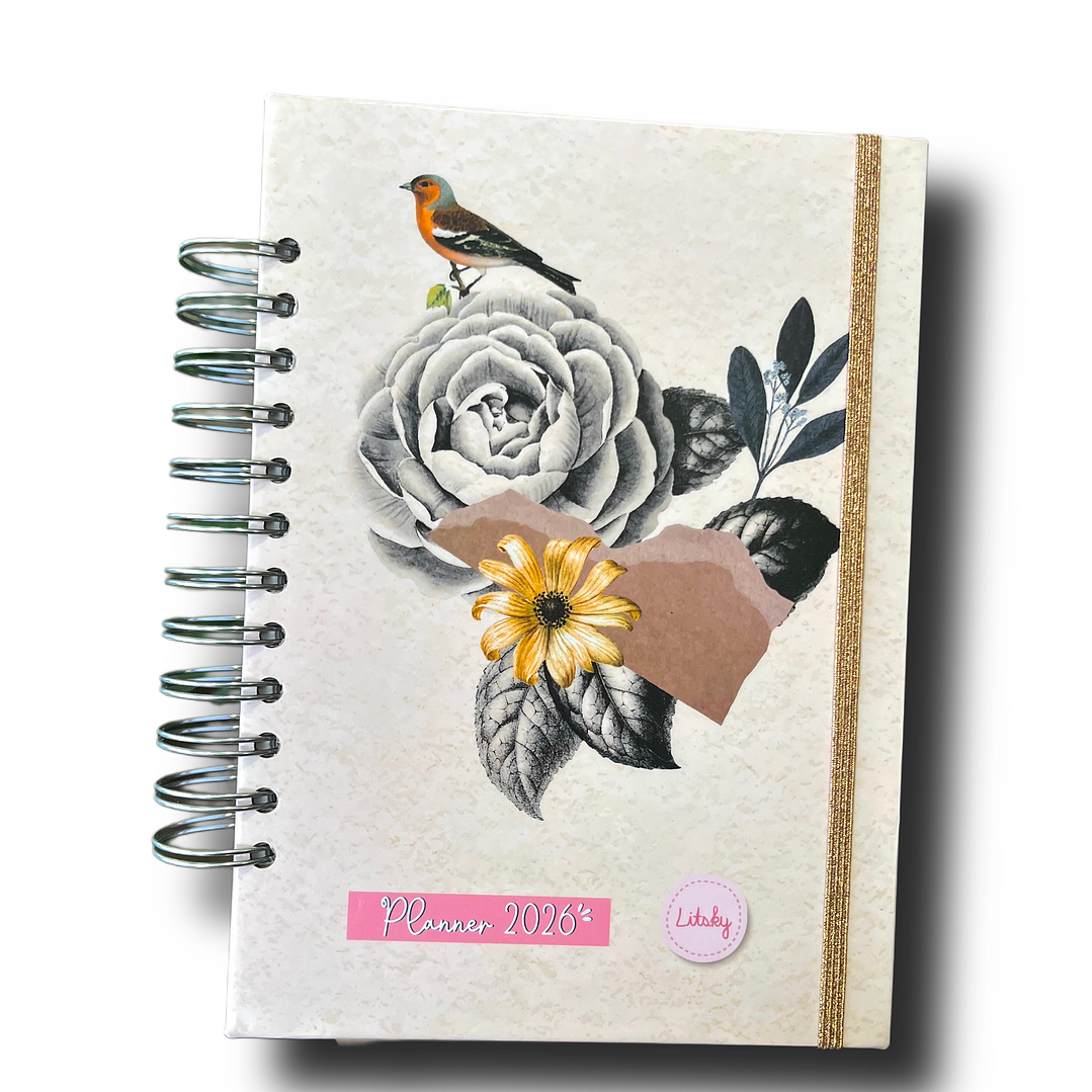 Planner 2026 Lineas Colores  24