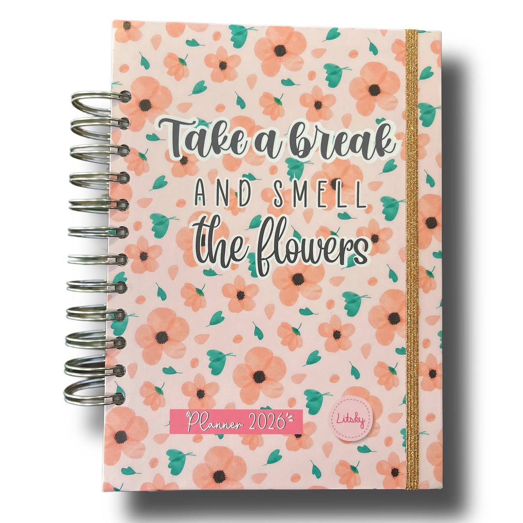 Planner 2026 Lineas Colores  25
