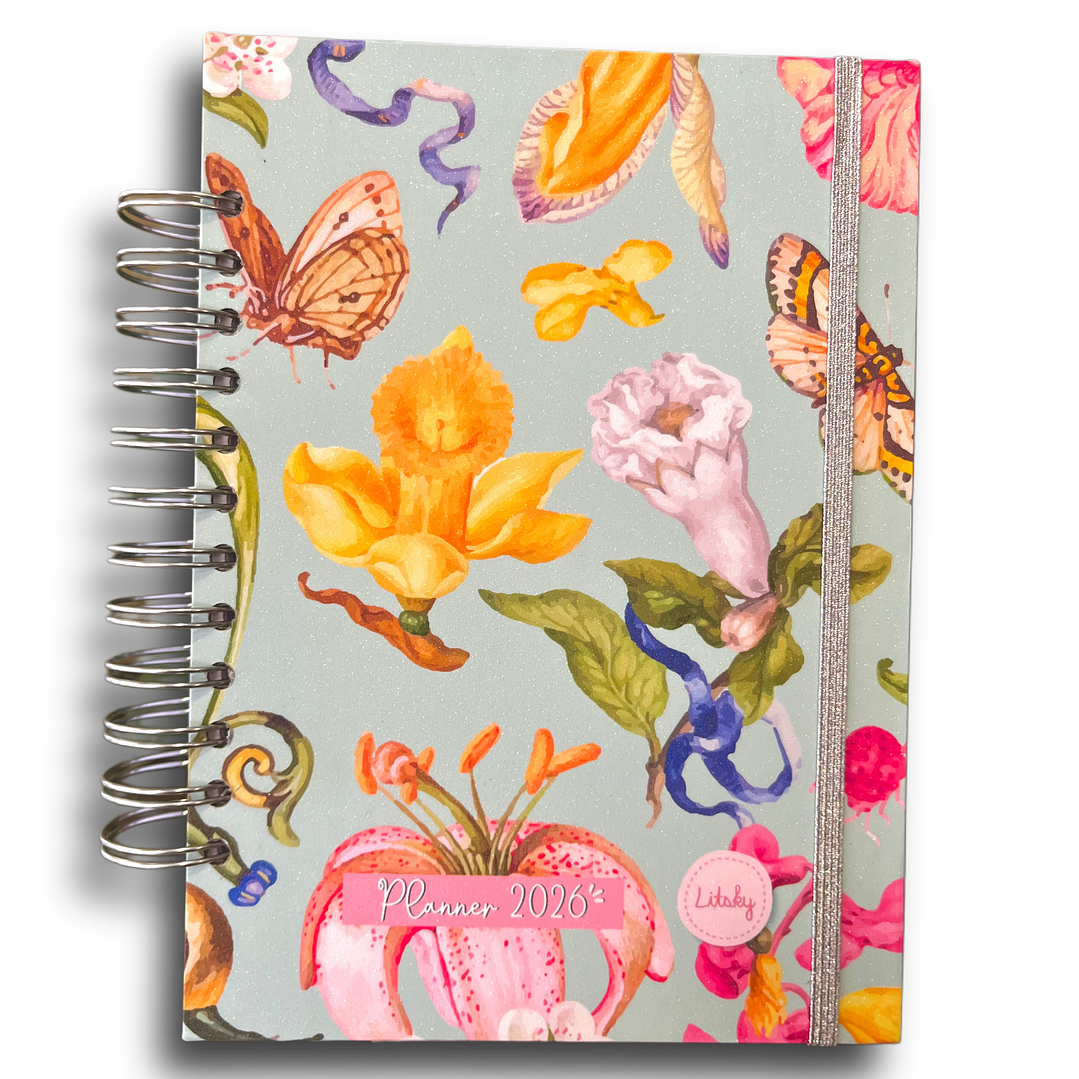 Planner 2026 Lineas Colores  26